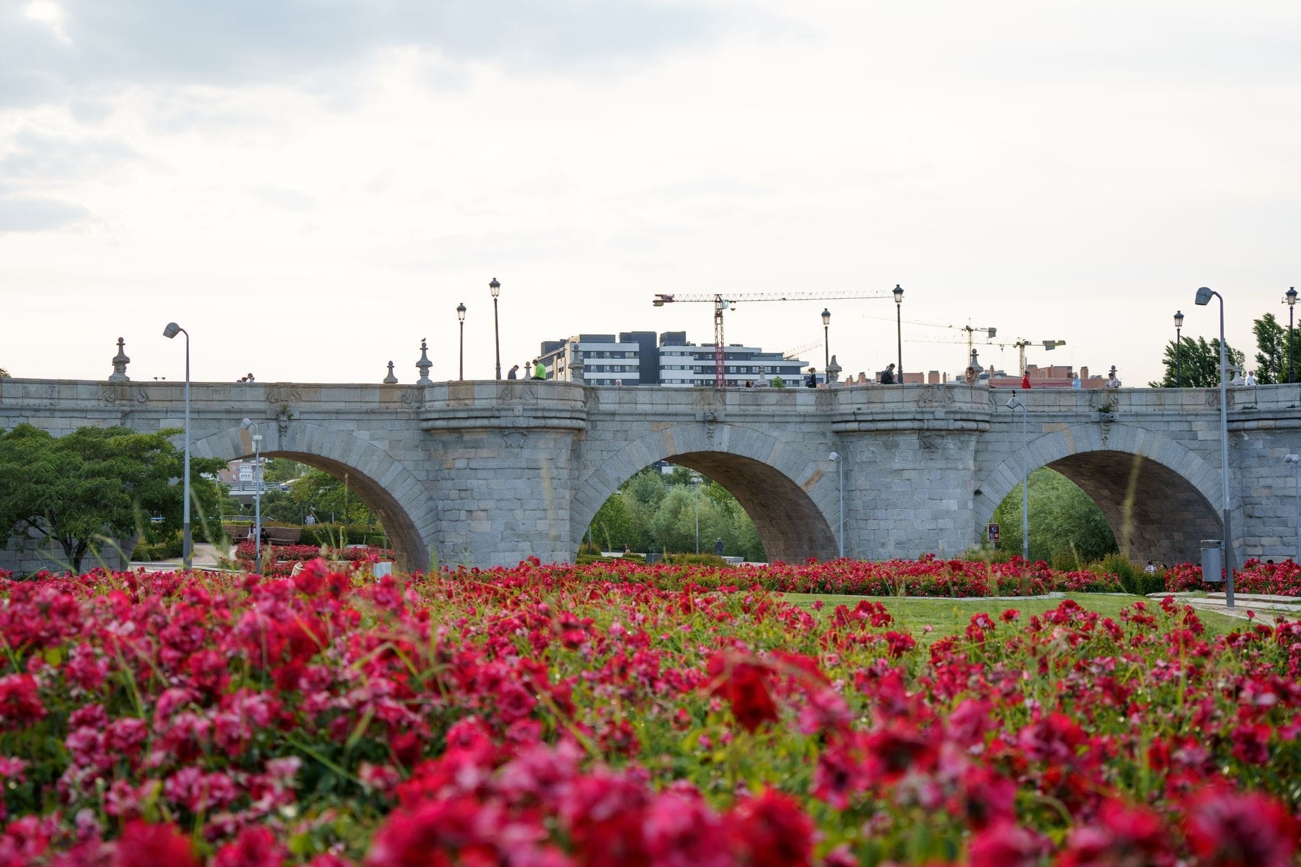 Ponte de pedra em Madri com flores de primavera vibrantes no primeiro plano e um céu suave com nuvens ao fundo.