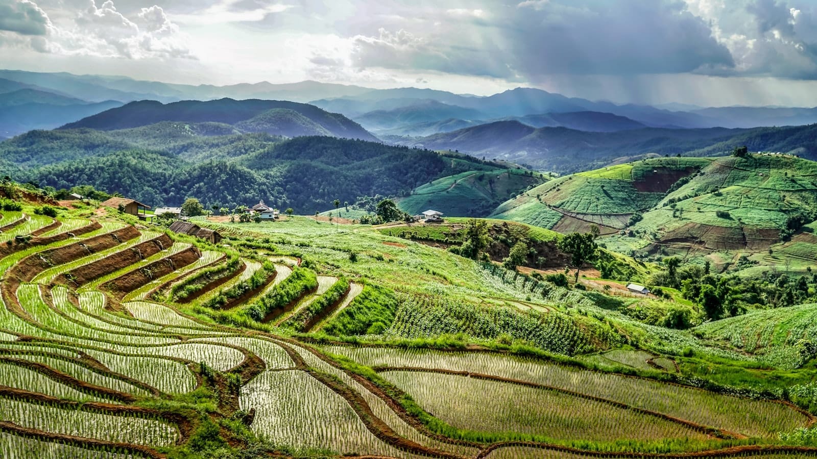 Exuberantes arrozales en terrazas verdes se curvan por las laderas con amplias vistas a las montañas bajo un cielo dramático y nublado en el valle de Mae Rim.