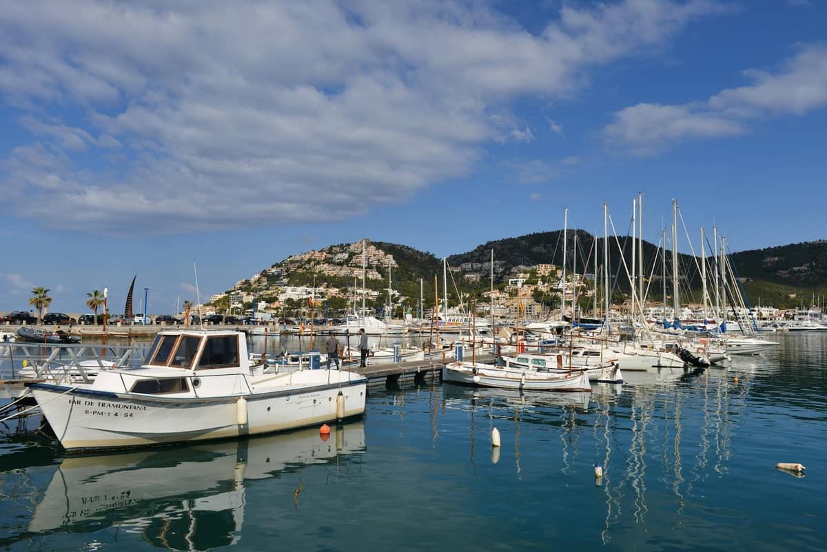 Marina soleada en Mallorca con muchos veleros y yates, colinas con casas al fondo y aguas azules en calma bajo un cielo parcialmente nublado.
