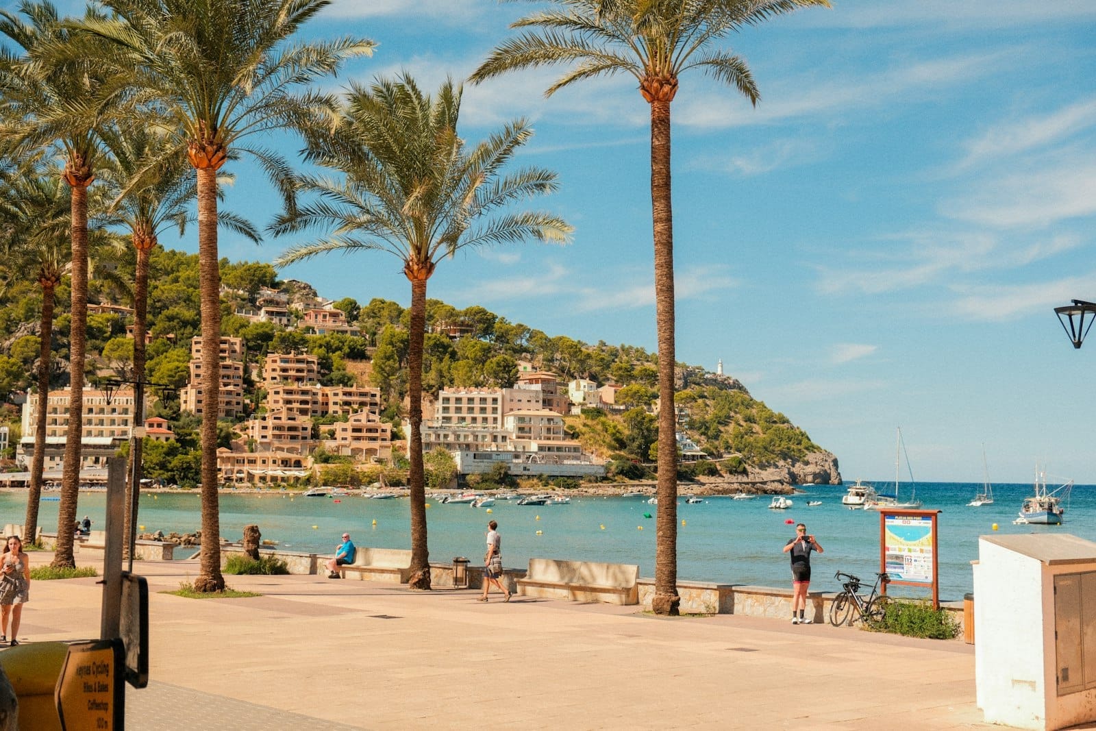 Palmeiras ladeiam o passeio marítimo de Port de Sóller, com edifícios na encosta, água turquesa e barcos visíveis sob um céu azul limpo.