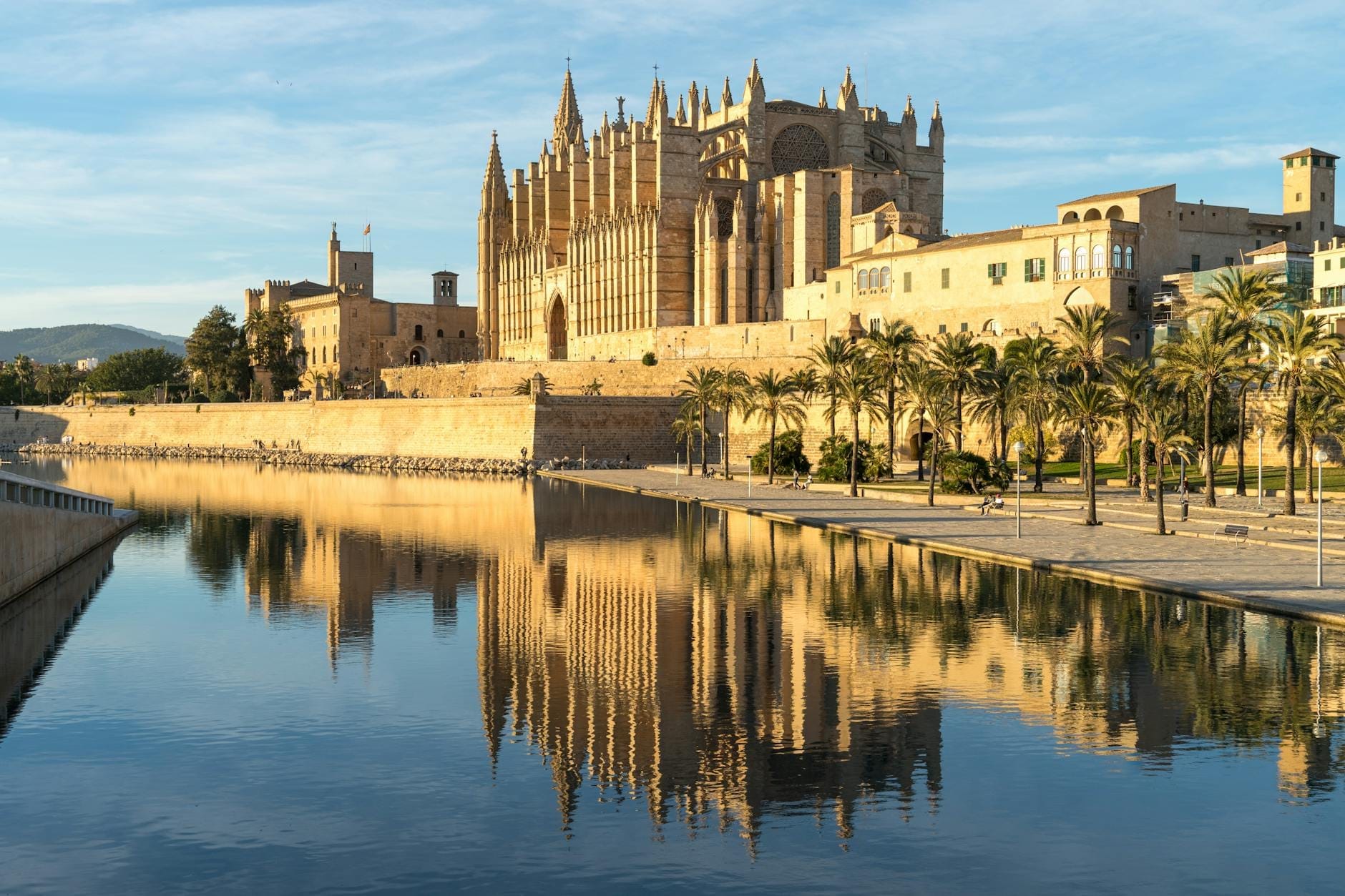 Vista panorâmica da Catedral de Palma refletida em águas tranquilas sob um céu azul, com palmeiras ao longo do calçadão em Maiorca, Espanha.