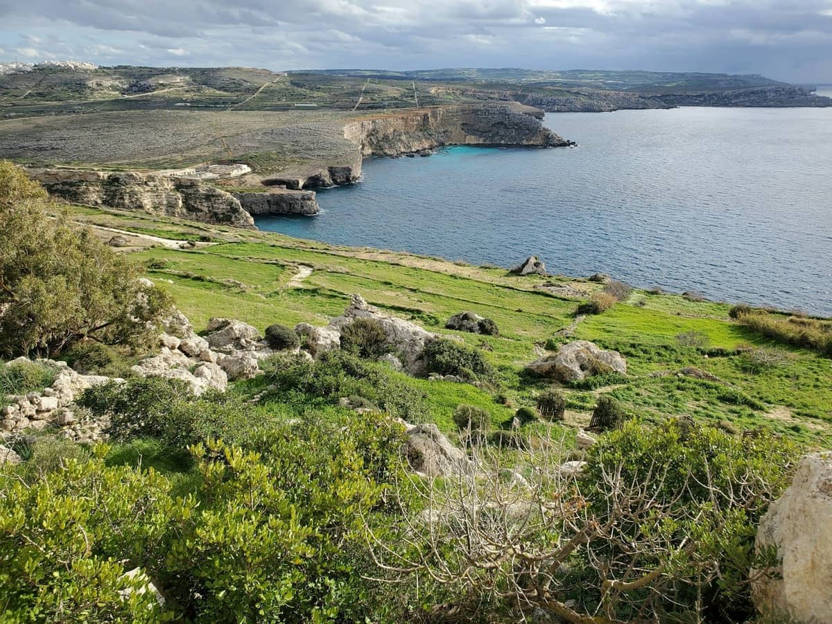 Paesaggio roccioso e verde con scogliere frastagliate e costa che incontra acque blu cristalline, sotto un cielo nuvoloso sull'isola di Gozo.