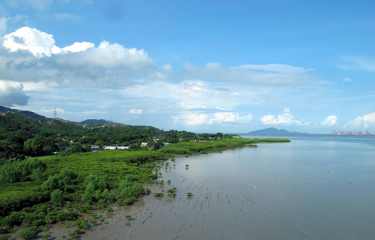 Vista da Reserva Natural de Manguezal da Baía de Shenzhen com vegetação exuberante, águas costeiras calmas, colinas distantes e um amplo céu azul.