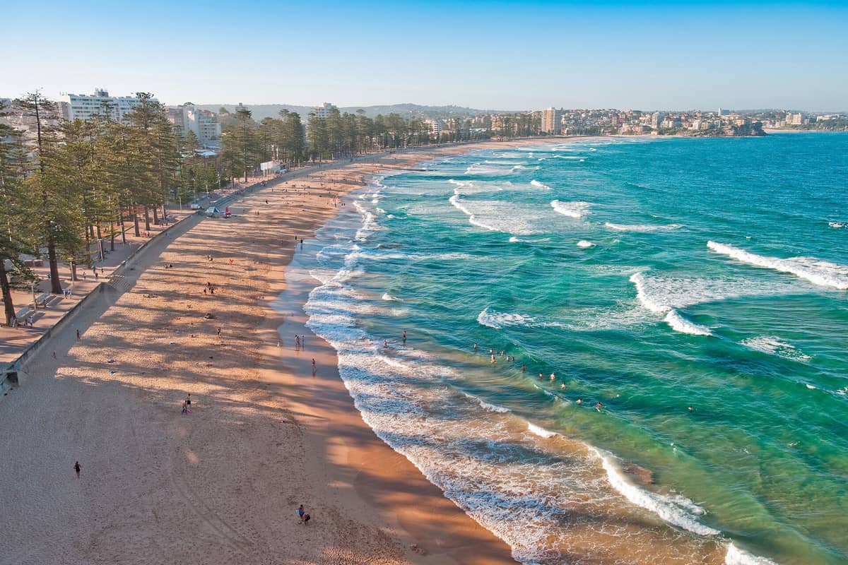 Vista aérea de Manly Beach, con su arena dorada, olas turquesas y el paseo marítimo flanqueado por pinos de la isla Norfolk en Sídney, Australia.