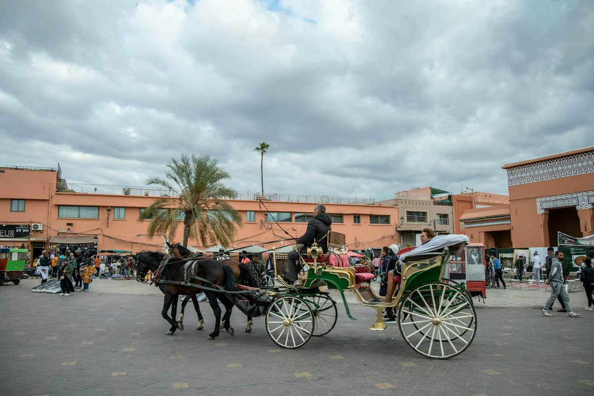 รถม้าแล่นผ่านอาคารสีพีชและต้นปาล์มในฉากเมือง Marrakech ที่คึกคัก