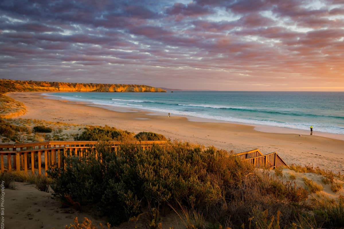 Wide view of Maslin Beach at sunset with golden cliffs, calm turquoise water, gentle waves, and wooden beach steps in the foreground.