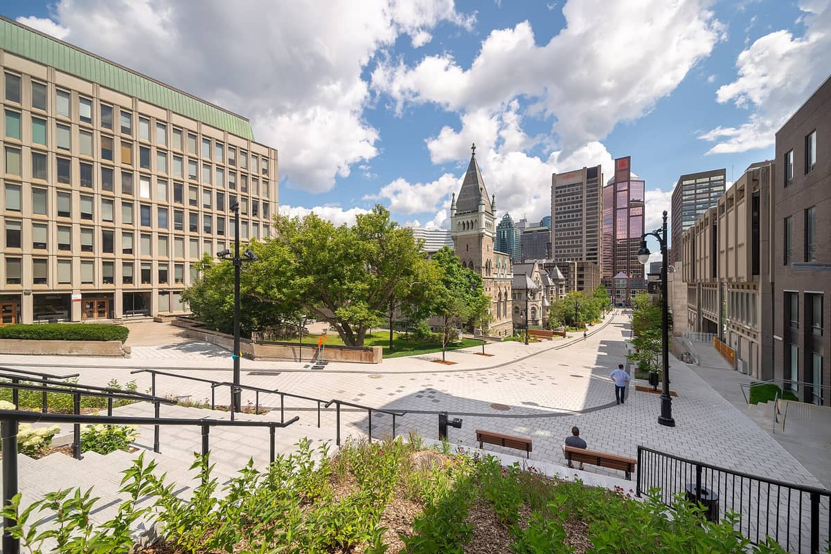 Ein weiter Blick auf den Innenstadtcampus der McGill University in Montreal mit historischen Steingebäuden, modernen Einrichtungen, Wegen, Grünflächen und Wolkenkratzern der Stadt an einem sonnigen Tag.