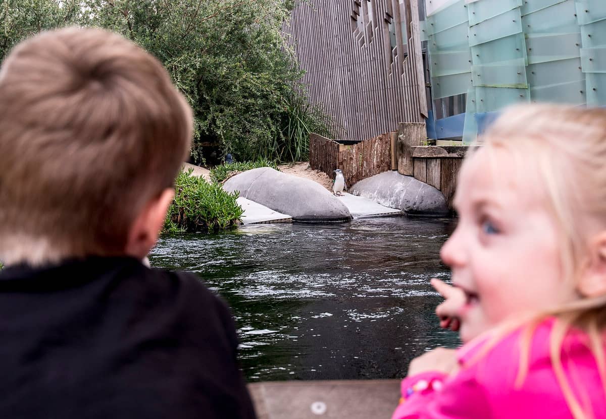 Dos niños observan un pingüino cerca del borde del agua en el Melbourne Zoo, con recintos modernos y exuberante vegetación de fondo.