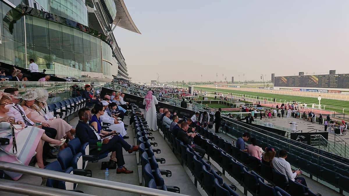 Panoramic view of Meydan Racecourse grandstand packed with spectators, showing the glass architecture, racetrack, and large digital screens on a sunny day.