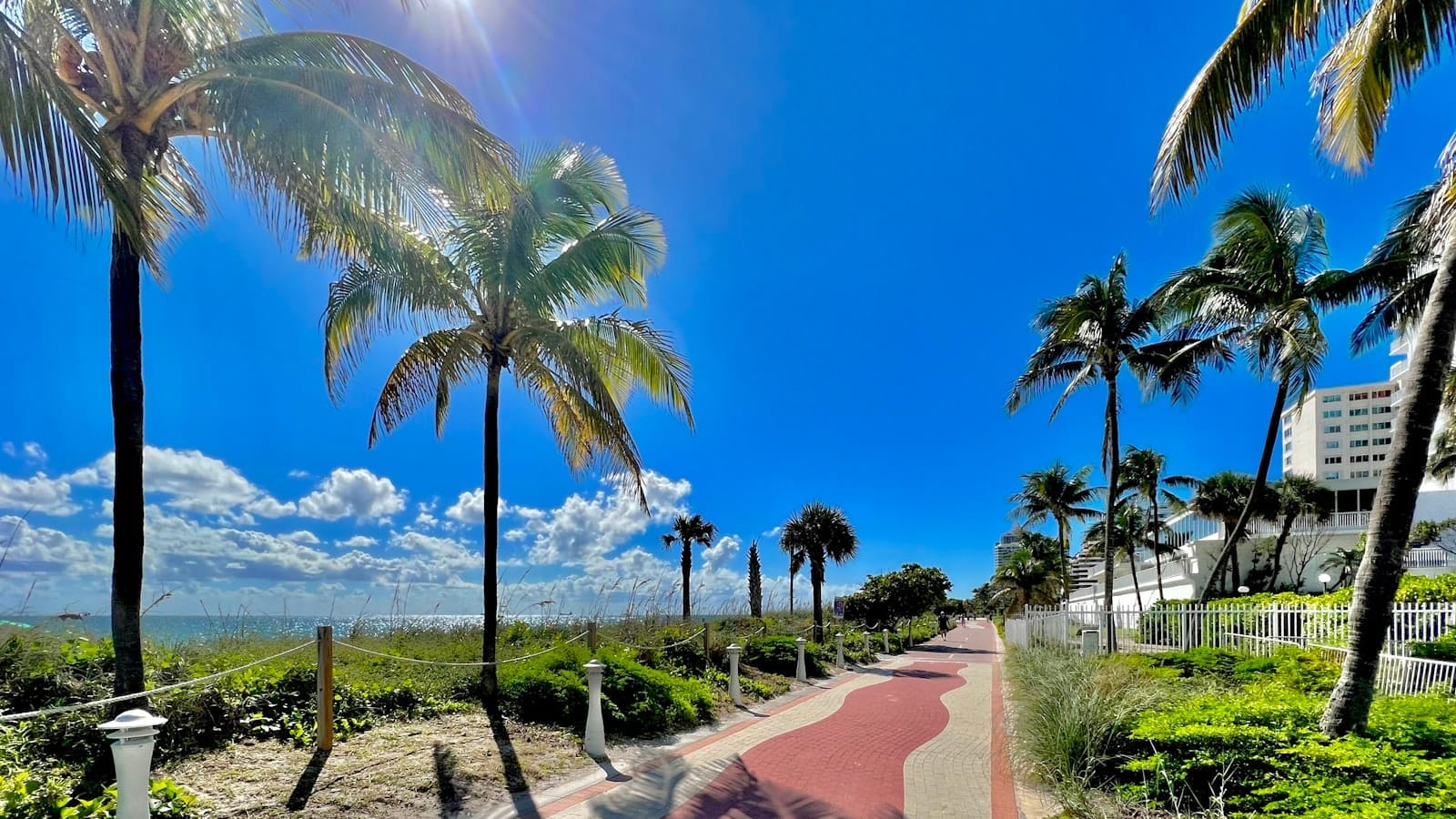 Una giornata di sole sul Miami Beach Boardwalk con palme, cielo azzurro, vista sull'oceano e un ampio percorso pedonale accessibile ai disabili, fiancheggiato da verde e hotel.