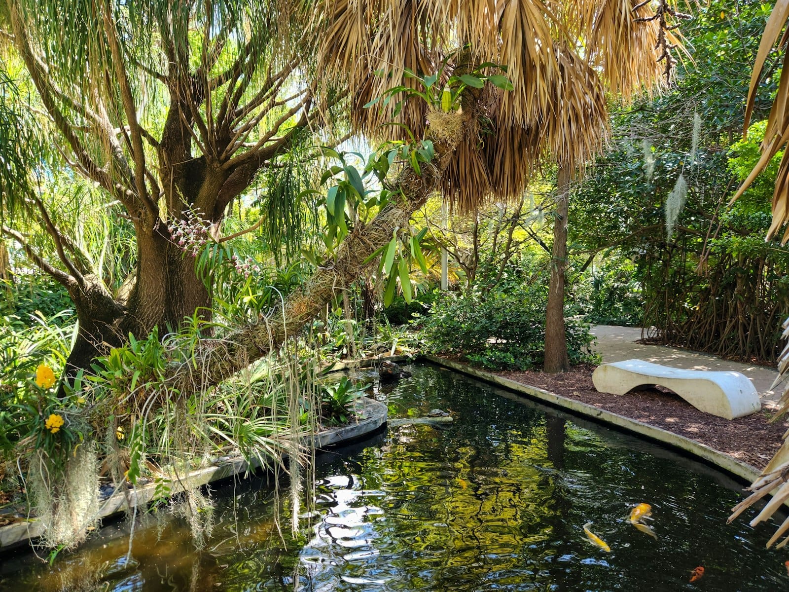 Scena tranquilla di un giardino tropicale con uno stagno riflettente, lussureggiante vegetazione, rami di palme che si protendono sull'acqua e una panchina bianca curva nella luce filtrata dal fogliame.