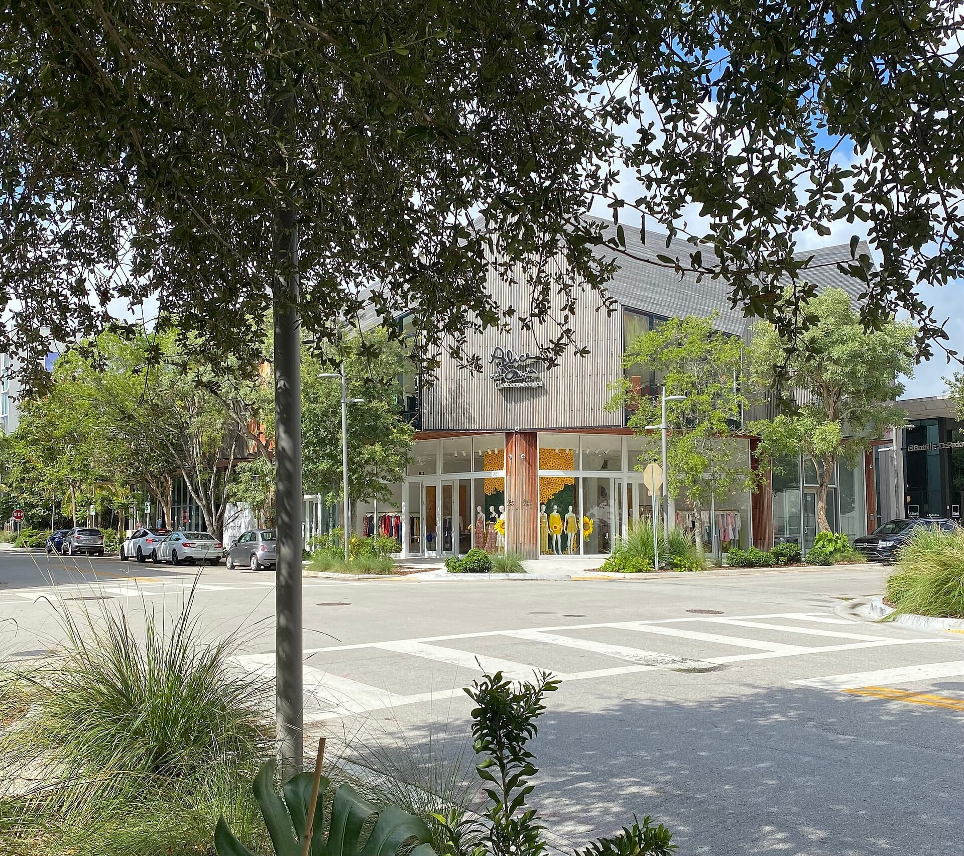 วิวถนนของร้านบูติกใน Miami Design District ล้อมรอบด้วยต้นไม้สีเขียวชอุ่มและอาคารพาณิชย์สมัยใหม่ในเวลากลางวัน