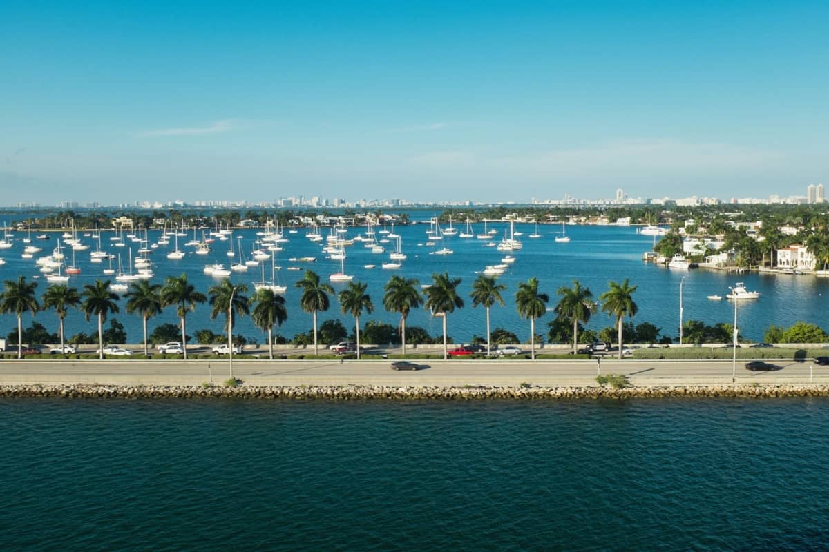 A scenic bayside view in Miami with palm trees lining the shore, a calm blue bay filled with anchored sailboats, and clear blue sky.