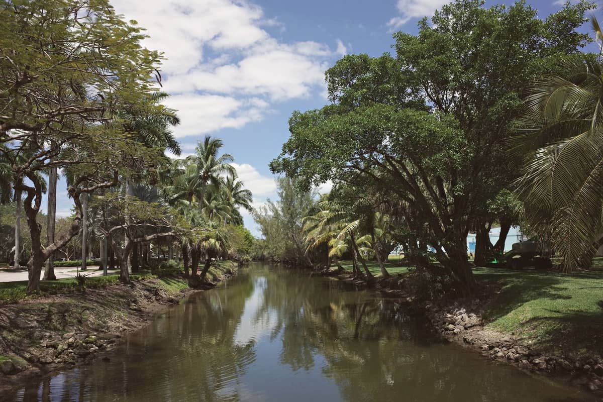 Scenic view of a lush, tropical garden with a winding waterway lined by palm trees and green grass under a blue sky.
