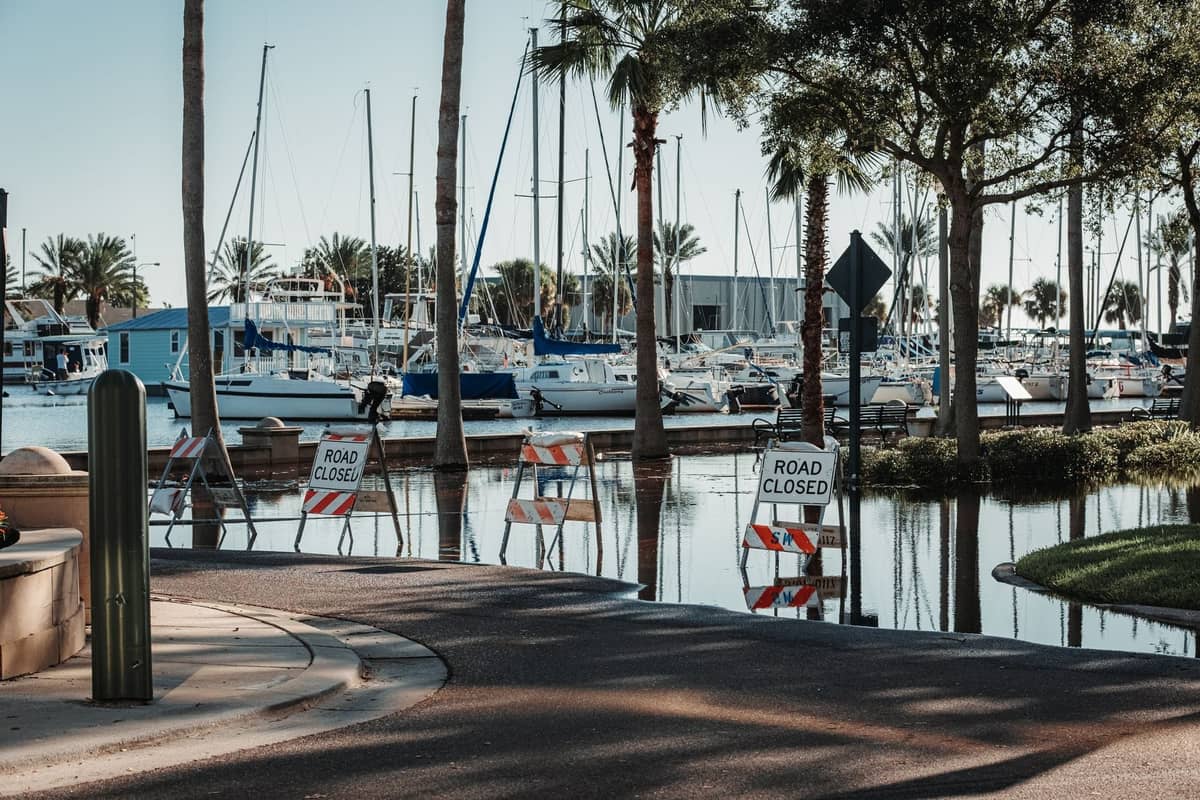 Flooded marina area with palm trees, boats, and road closed signs after heavy rain or storm in coastal Florida.
