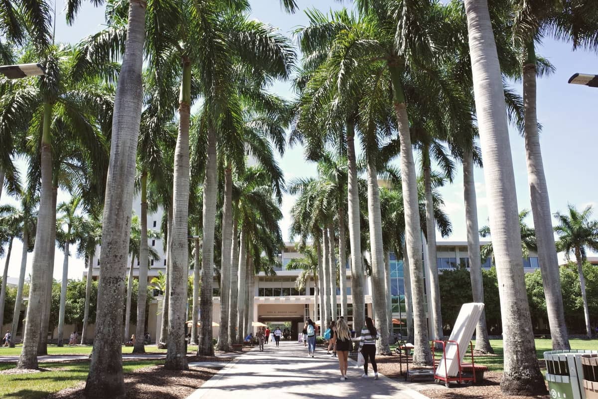 Palm-lined pedestrian walkway with people walking, shops and businesses visible in a Miami neighborhood setting