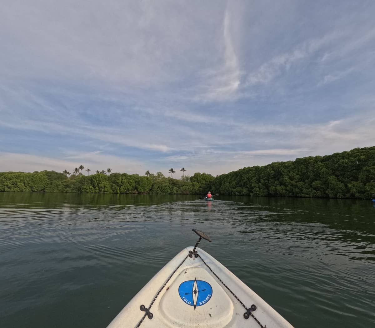 View from a kayak in calm mangrove-lined waters under a blue sky, with another kayaker paddling ahead, showcasing an eco-paddling experience.