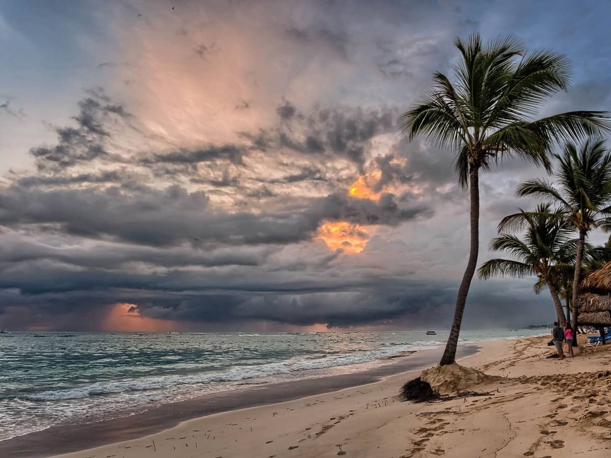 Storm clouds over a Miami beach with palm trees swaying and rough surf, creating a dramatic and atmospheric scene.