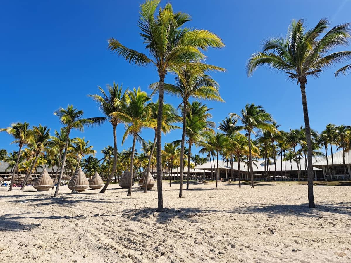Sunny Miami beach scene with palm trees, sandy shore, and family-friendly shaded seating huts under a bright blue sky.