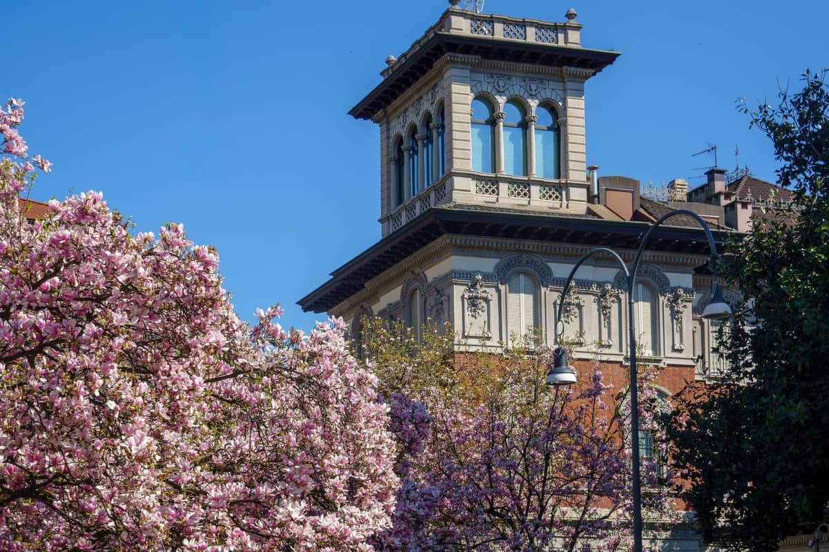 Historisches Gebäude in Mailand, umgeben von blühenden rosa Bäumen unter einem klaren blauen Frühlingshimmel.