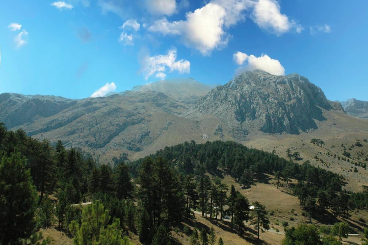 Maburol na tanawin sa Crete na may magaspang na mga tuktok, mga puno ng pino, at dramatikong langit, na sumasalamin sa mitolohikal at sagradong kapaligiran ng isla.