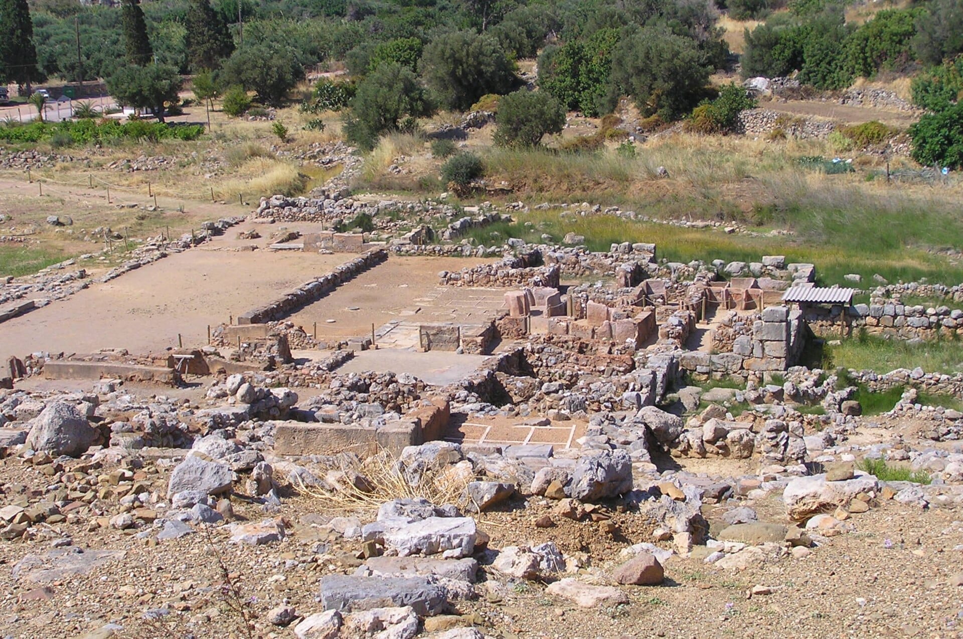 Vista delle rovine archeologiche del Palazzo di Zakros circondate da erba secca, rocce e alberi verdi alla luce del giorno nella Creta orientale.