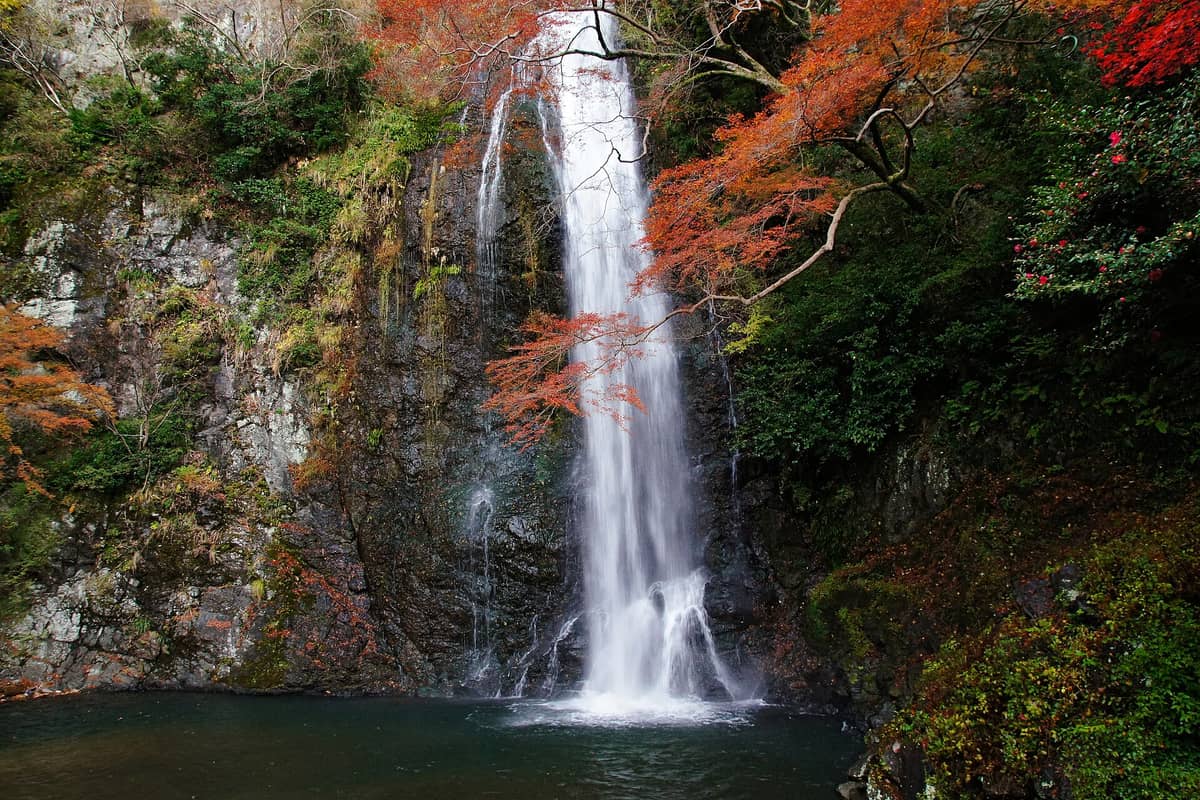 A clear, wide view of Minoh Falls cascading down a rocky cliff surrounded by autumn leaves in vibrant red and orange hues.