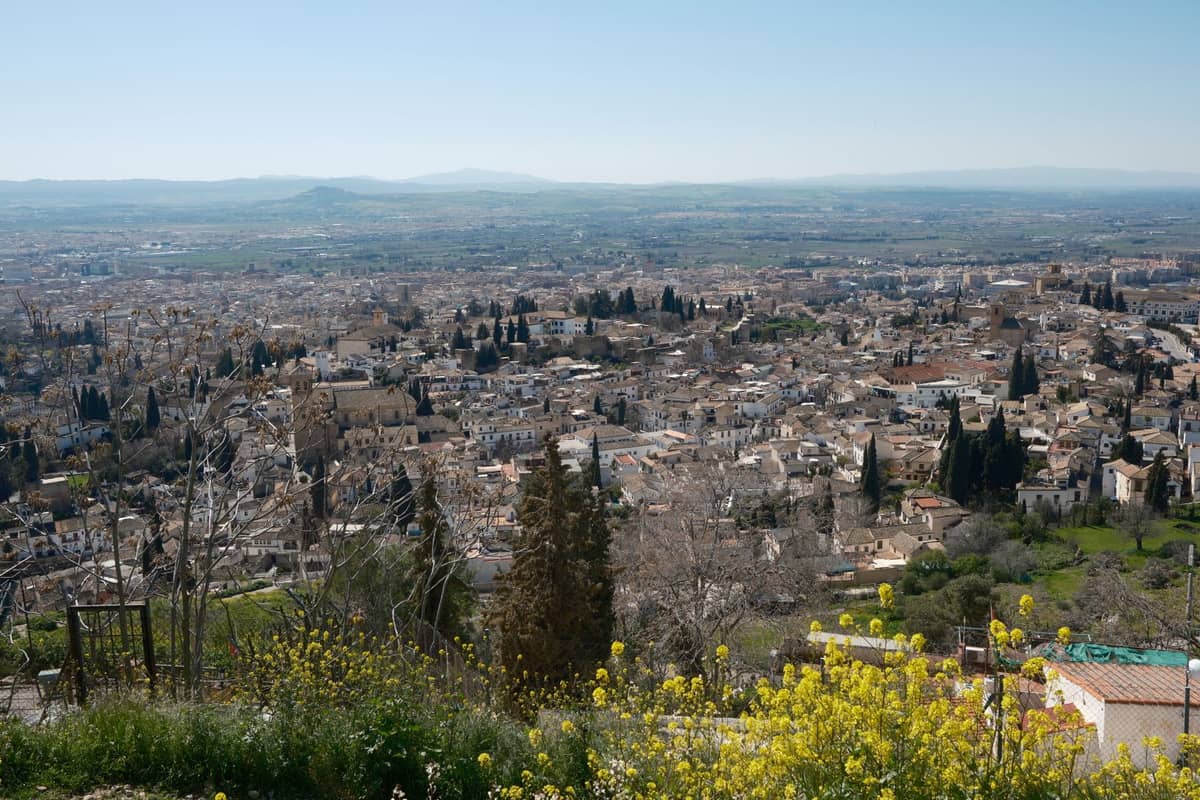 วิวพาโนรามากว้างจาก Mirador de San Miguel Alto มองเห็นเขตอัลไบซิน อัลฮัมบรา กับทุ่งห่างไกลในกรานาดา ดอกไม้ป่าในระยะหน้า ฟ้าใสไร้เมฆด้านบน