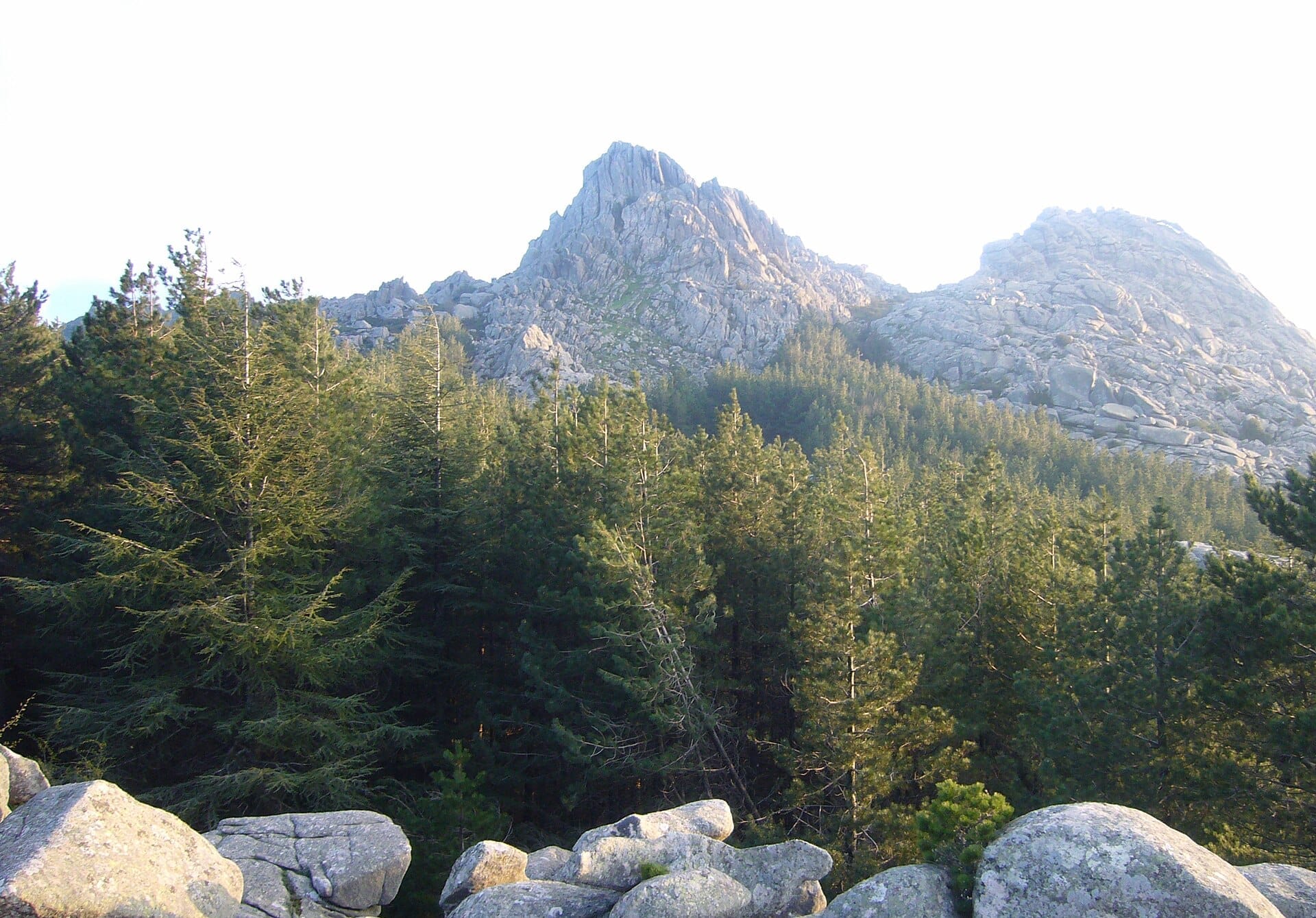 Die Granitgipfel des Monte Limbara erheben sich über einen dichten grünen Kiefernwald und verstreute Felsen im sanften natürlichen Tageslicht in der Gallura, Sardinien.