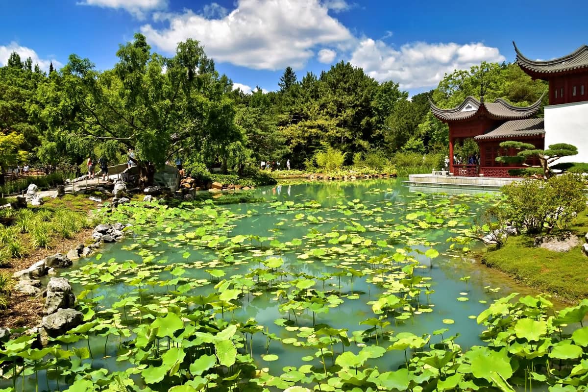 Teich mit Lotuspflanzen und einem traditionellen rot-weißen chinesischen Pavillon im Botanischen Garten Montréal an einem sonnigen Tag.