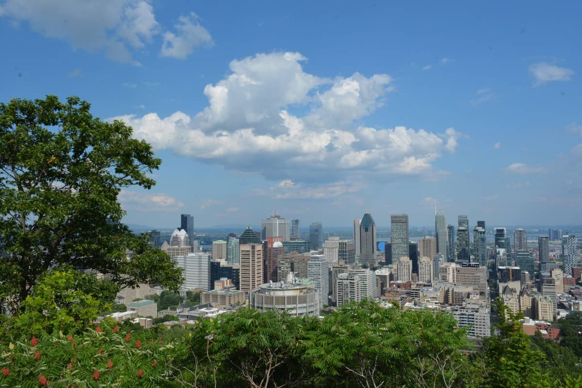 Blick auf die Skyline der Innenstadt von Montreal vom Mont-Royal mit Bäumen im Vordergrund und blauem Himmel mit vereinzelten Wolken.