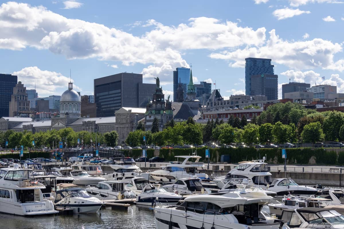 Barcos atracados en una marina frente al Vieux-Montréal y el horizonte moderno de la ciudad en un brillante día de verano.