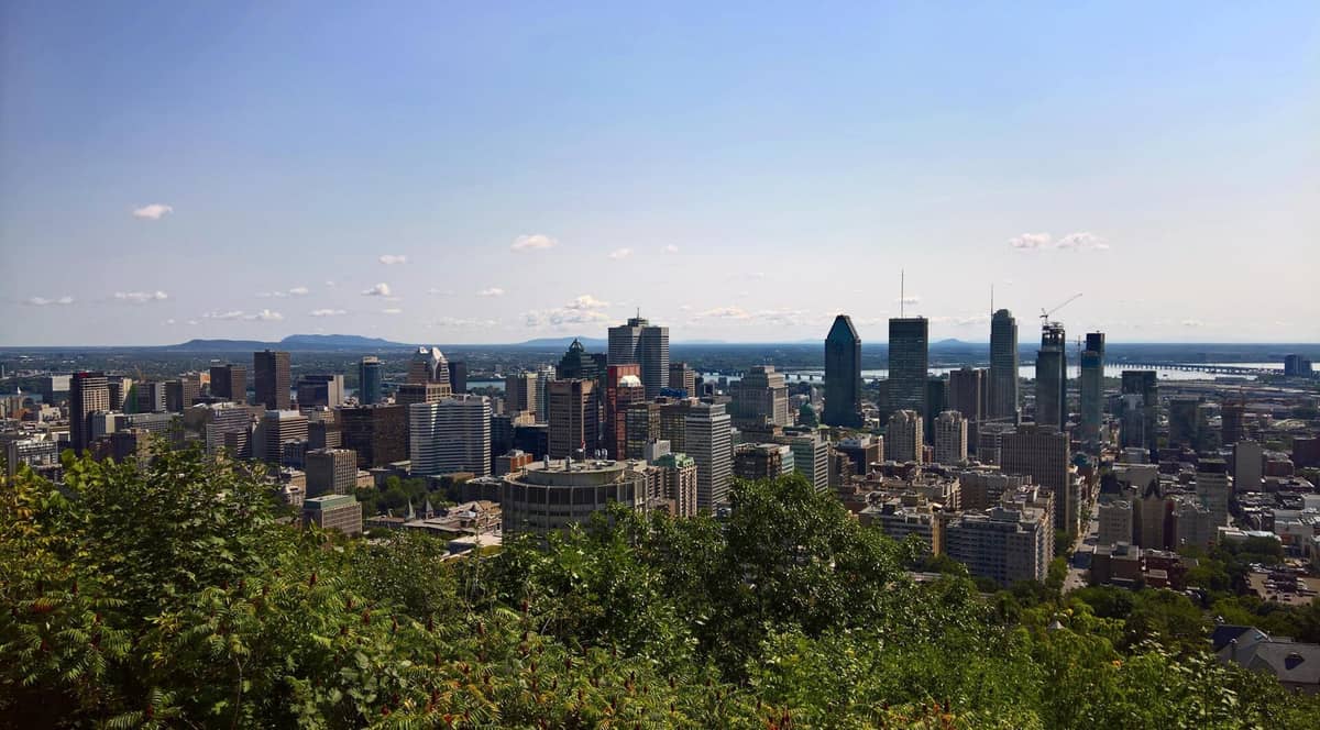 Ampia vista dello skyline di Montreal da un belvedere alberato, con cielo sereno e la vegetazione del Mont Royal in primo piano.