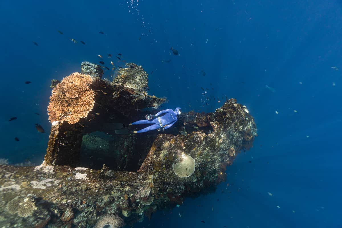 Buceador explorando un naufragio cubierto de coral bajo el agua con peces nadando cerca en aguas azules y cristalinas