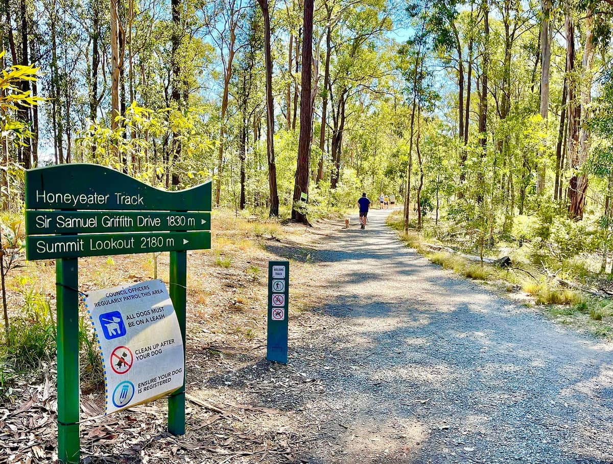 Schotterweg für Wanderer durch hohen Eukalyptuswald am Mount Coot-tha, mit Wegweisern für Honeyeater Track und Summit Lookout.