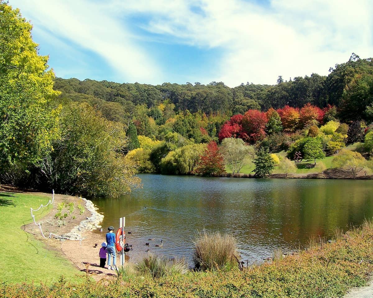 Two people stand by the lakeside at Mount Lofty Botanic Garden, surrounded by autumn foliage and lush green forest under a blue sky.