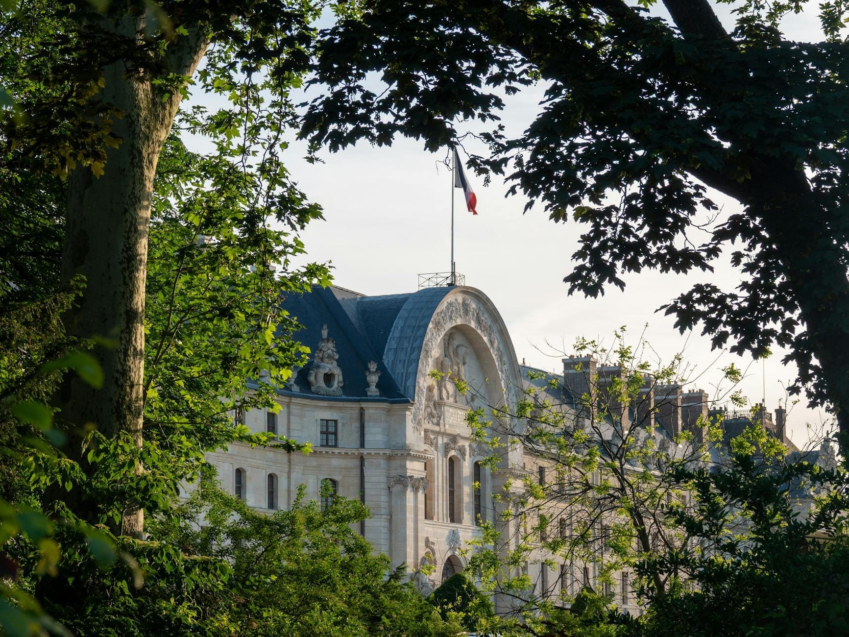 Un elegante edificio parigino parzialmente nascosto da rigogliosi alberi verdi, con una bandiera francese in cima, incorniciato da rami frondosi in primo piano.