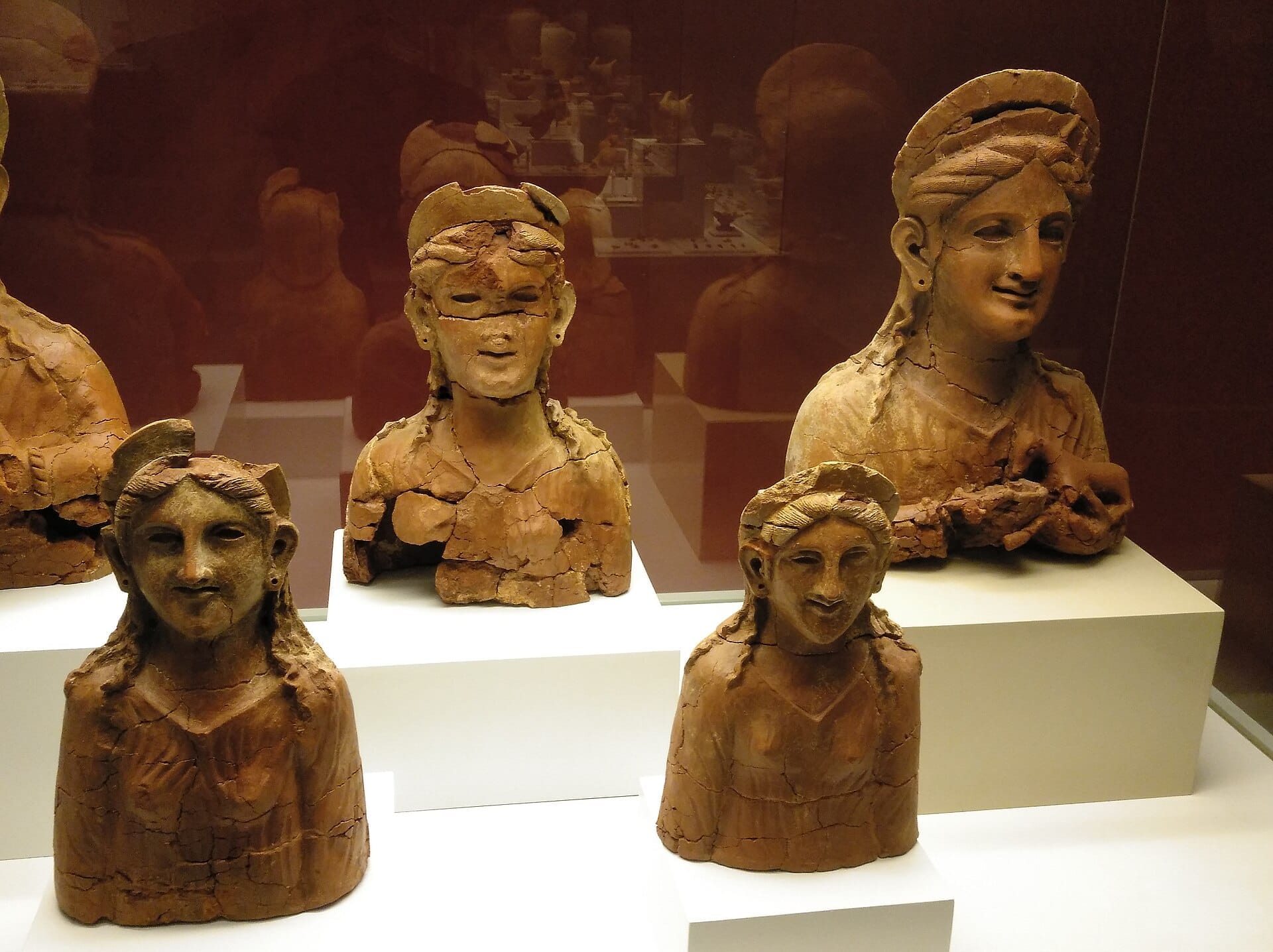 Busti in terracotta antichi esposti nel Museo de Cádiz, con lineamenti screpolati su uno sfondo marrone riflettente e piedistalli bianchi.