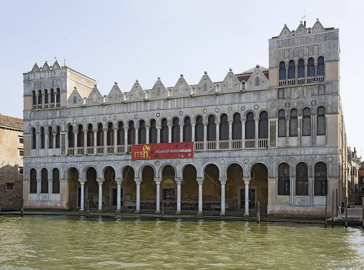 Vorderansicht des Museo di Storia Naturale di Venezia, ein historischer Palazzo mit Bogenfenstern am Canal Grande unter klarem Himmel.