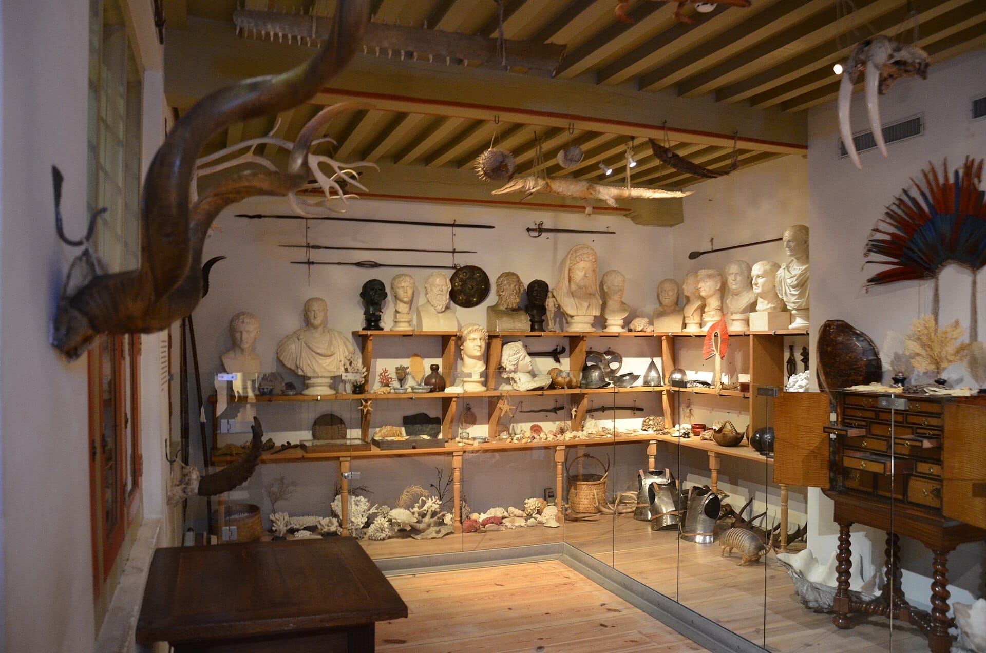 Una sala interior del Museum Het Rembrandthuis llena de bustos clásicos, artefactos, piezas de armadura, cuernos de animales y curiosidades de historia natural bajo una iluminación suave.