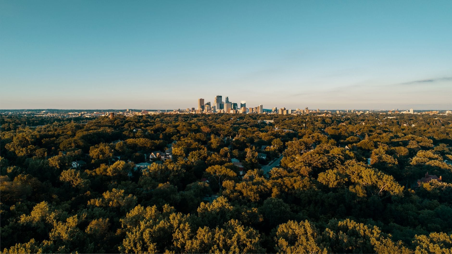 Una amplia vista del horizonte de Nashville elevándose sobre una extensa zona de denso bosque verde, capturada bajo la cálida luz del atardecer.