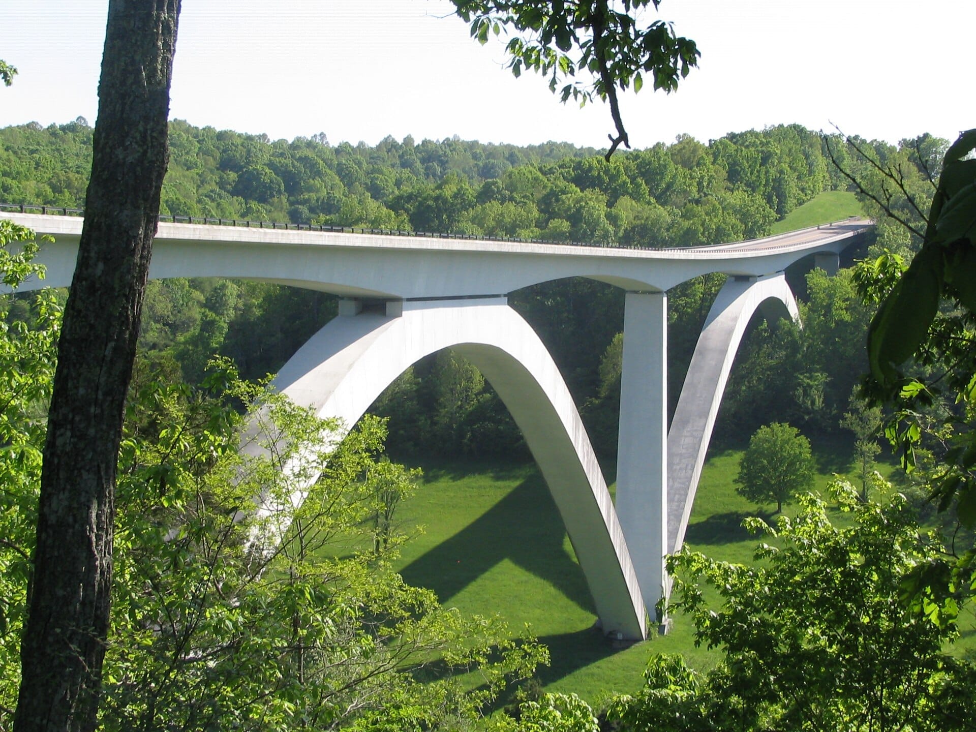 El puente de doble arco del Natchez Trace Parkway se extiende sobre colinas verdes y frondosas y un paisaje boscoso cerca de Nashville bajo la luz del día.