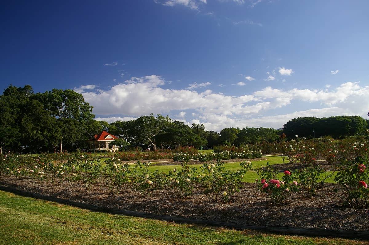 ภาพกว้างของ New Farm Park ในบริสเบน มีสวนกุหลาบ สนามหญ้าสีเขียว ต้นไม้กระจาย และศาลากลางสวนใต้ฟ้าสีคราม