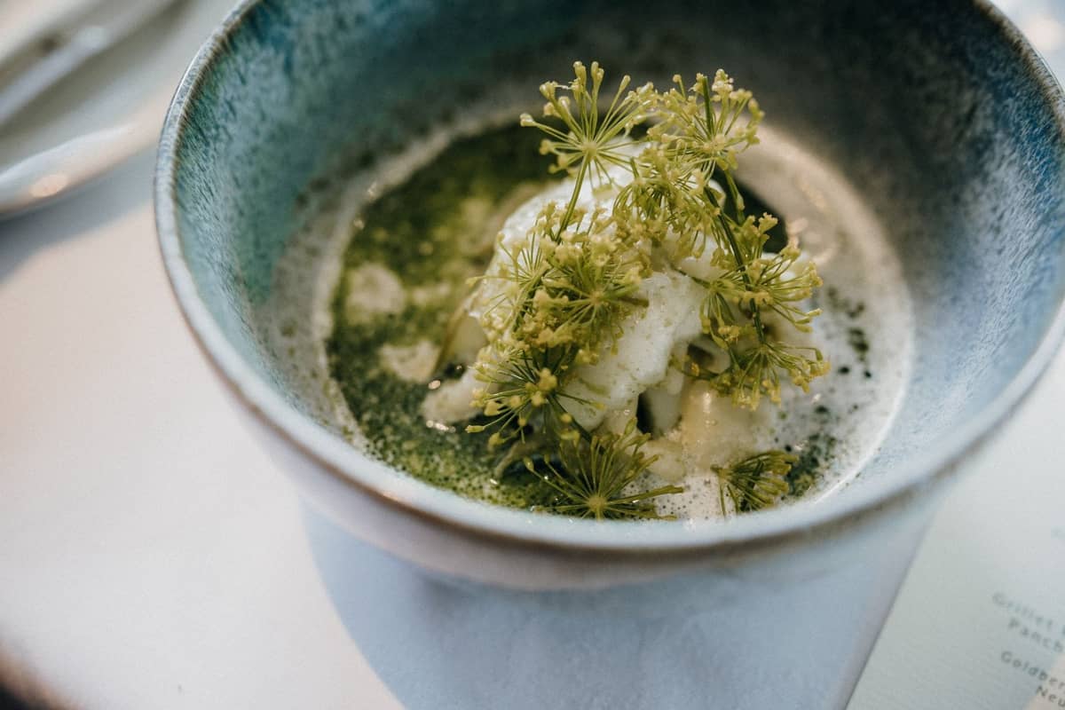 Bowl with a Nordic-style dish featuring green herbs, white sauce, and delicate presentation on a restaurant table.