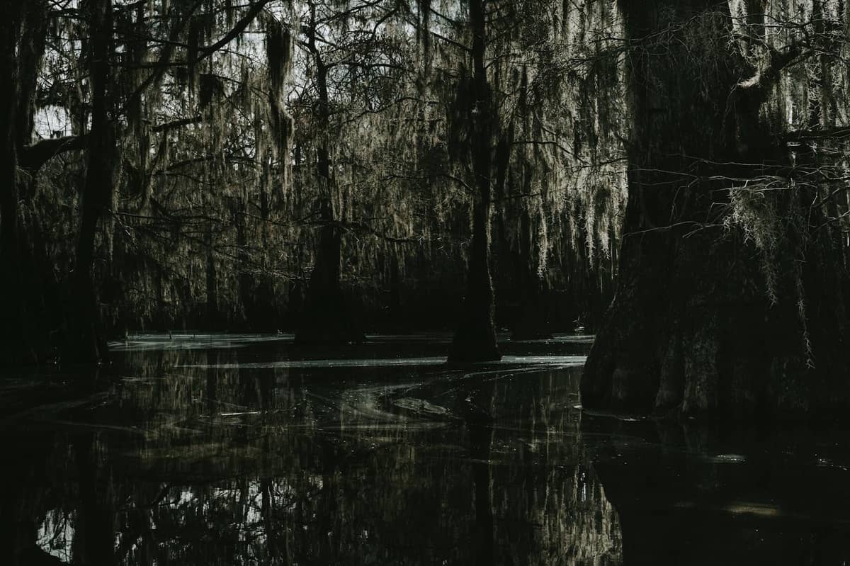A dense southern swamp with dark water and cypress trees draped in Spanish moss, evoking the pre-colonial natural landscape around New Orleans.