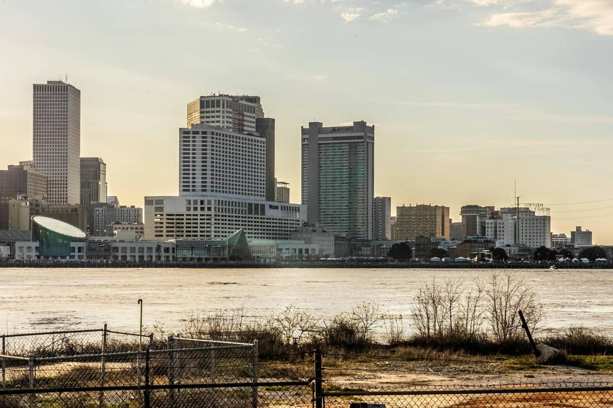 View of the New Orleans downtown skyline from across the Mississippi River with natural riverside foreground and city buildings in the background.