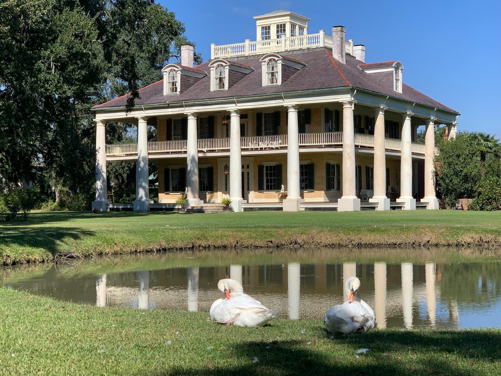 Casa de fazenda sulista clássica com colunas brancas altas, jardim bem cuidado, lago e dois cisnes brancos na frente, sob um céu azul.
