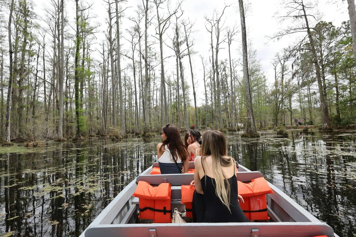 People on a flat-bottomed boat touring a cypress swamp, surrounded by water and trees, suggesting a family-friendly outdoor adventure.