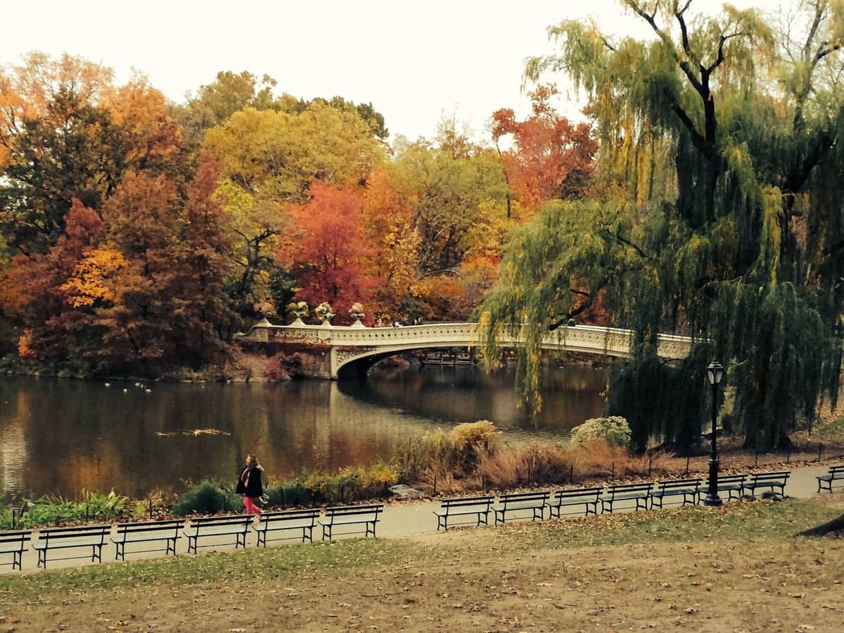 Bow Bridge im Central Park umgeben von lebhaftem Herbstlaub, mit bunten Herbstbäumen und Spiegelungen im Teich.