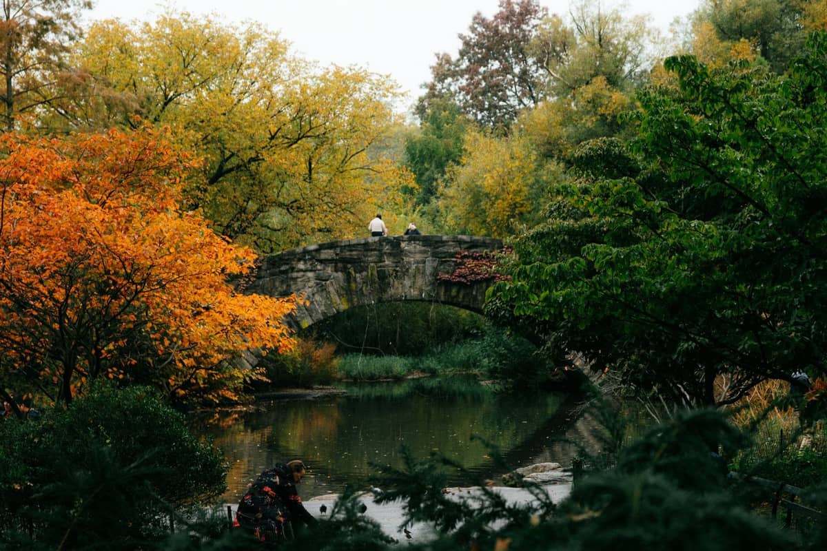 Der Central Park im Herbst mit leuchtendem orange-gelbem Laub, einer Steinbrücke über den Teich und Menschen, die die herbstliche Landschaft genießen.